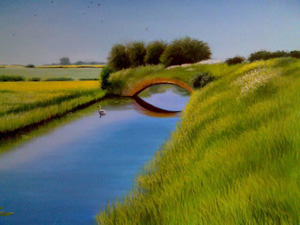 © Terry Anthony.Com