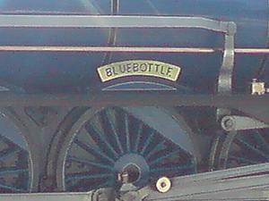 "Bluebottle" @ Hythe - Spring 2009 by Jayl ©