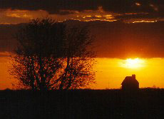 Looker's Hut by Jimmie Bone ©